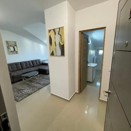 Garsoniera De Lux شقة تيشيرغيول