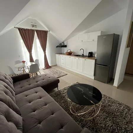 Garsoniera De Lux تيشيرغيول